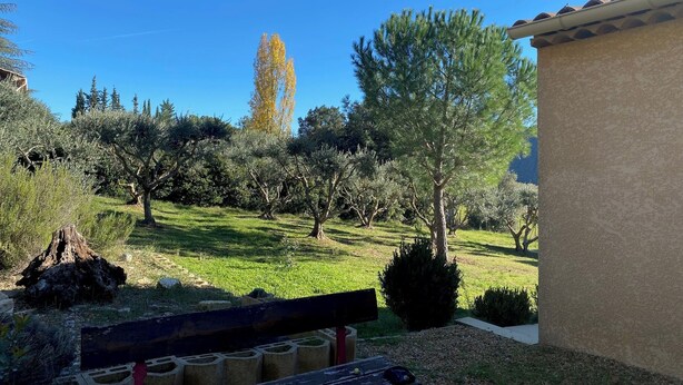 Un jardin avec différents arbres et un bâtiment.