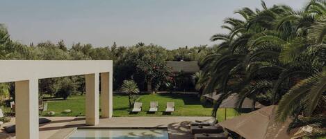 A pool area with lounge chairs and umbrellas, surrounded by greenery and palm trees.