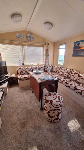 Télévision, cheminée, jeux vidéo, lecteur de DVD