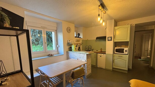 A compact kitchen with a dining table and chairs, a window with a view of greenery, and basic appliances.