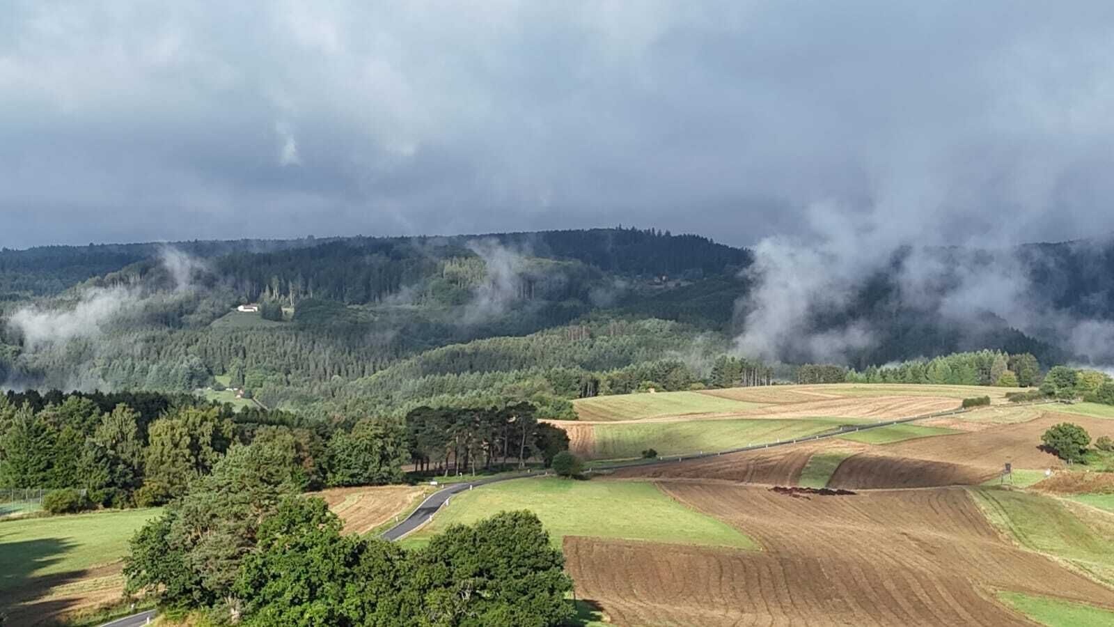 Un paysage rural avec des champs, une route et une colline boisée.