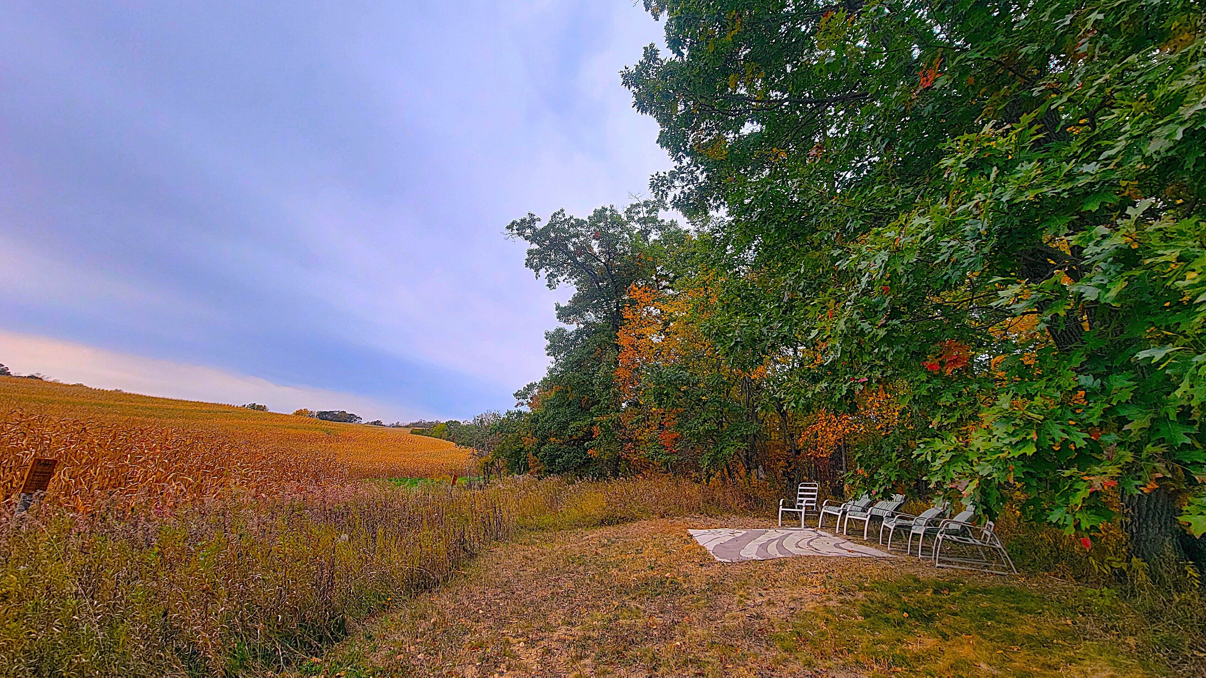 A park with a grassy area, a paved path, and a row of metal chairs.