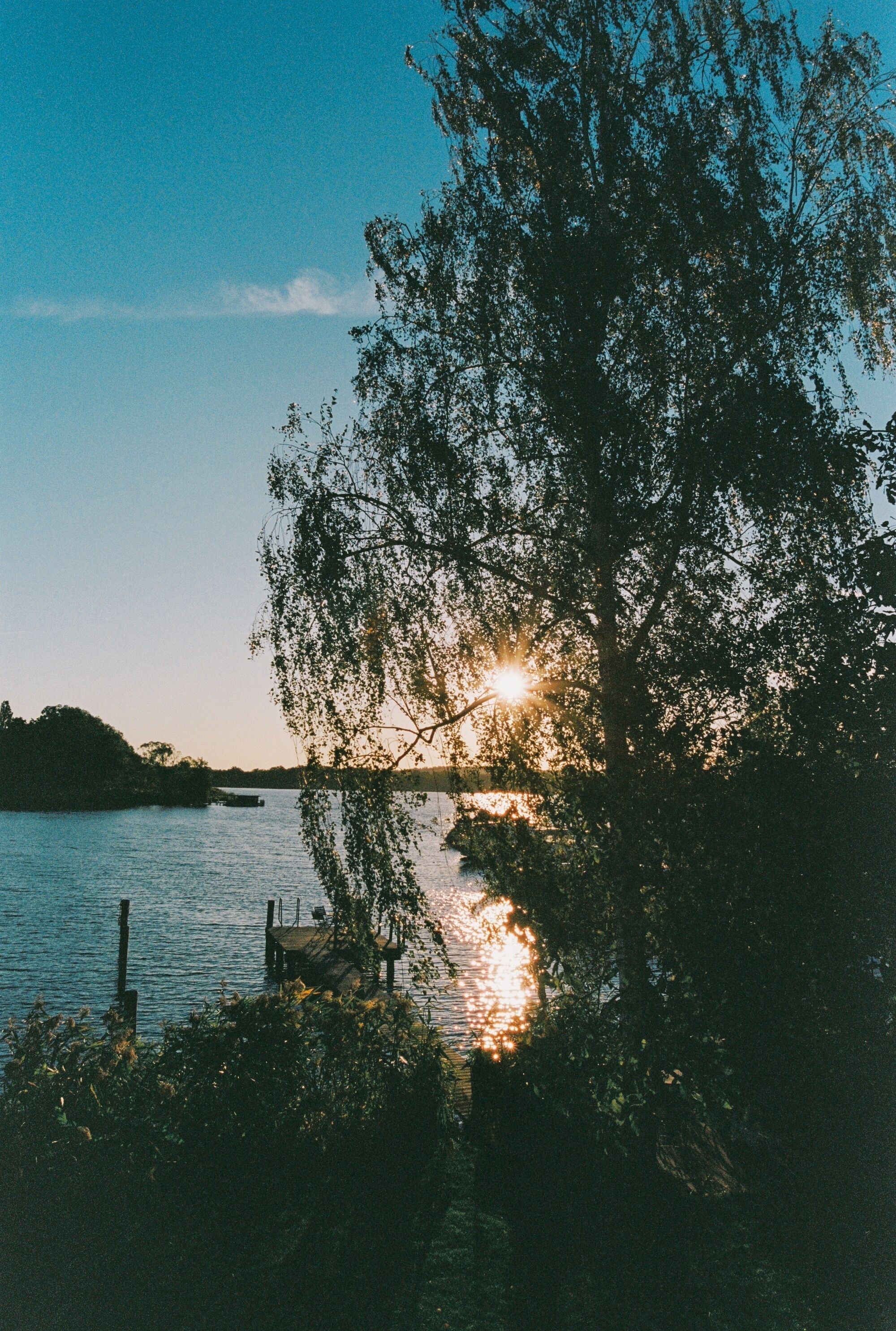 Ein Sonnenuntergang über einem stillen See mit einem Steg und Bäumen im Vordergrund.