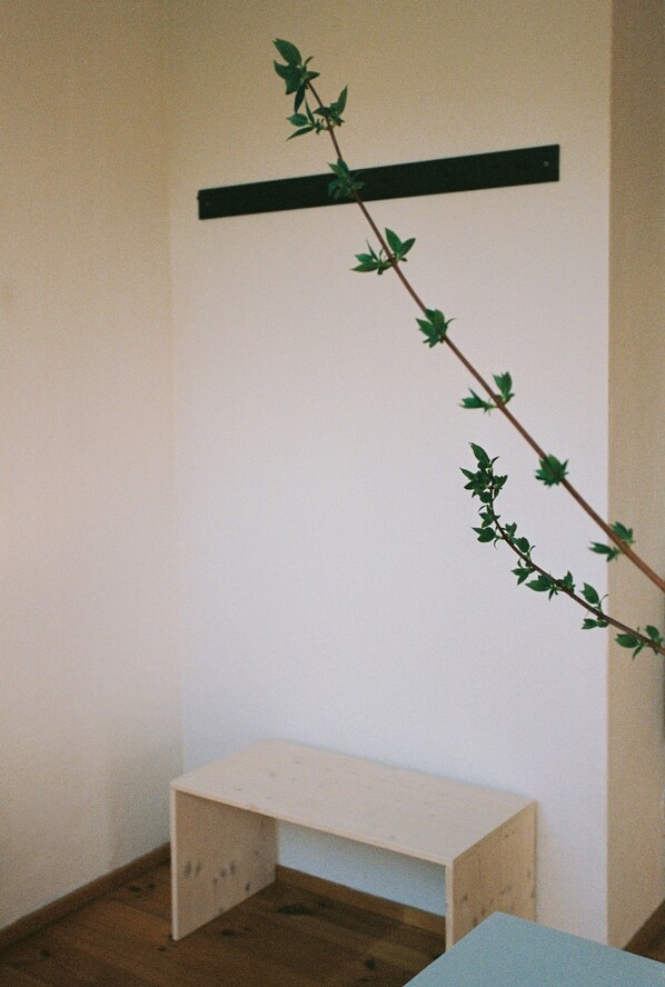 A room with a wooden bench, a wall-mounted shelf, and a branch with leaves.
