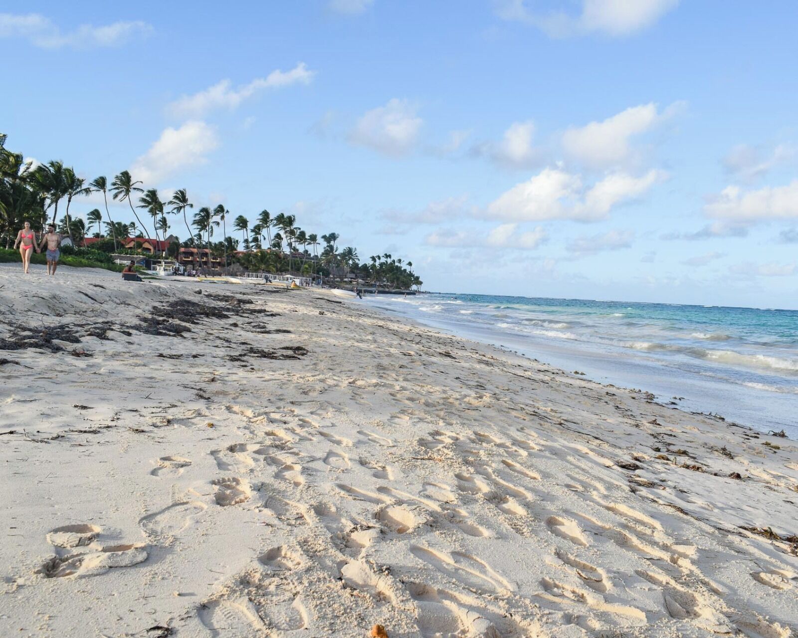 A beach with footprints, palm trees, and a clear sky.