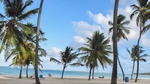 A beach with palm trees, a clear sky, and the ocean in the background. - ENJOY THIS BEAUTIFUL APARTMENT IN PUNTA CANA (Higüey)