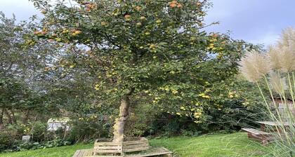 Opas Hus auf Pellworm