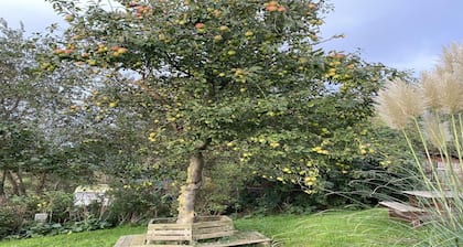 Opas Hus auf Pellworm