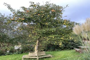 Property grounds - Opas Hus auf Pellworm (Pellworm)