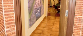 Experience apart for familliy and pets in retro-classic style in city center