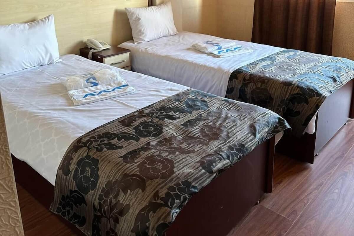 Habitación estándar con 2 camas individuales, balcón, vista al parque | Escritorio y wifi gratis