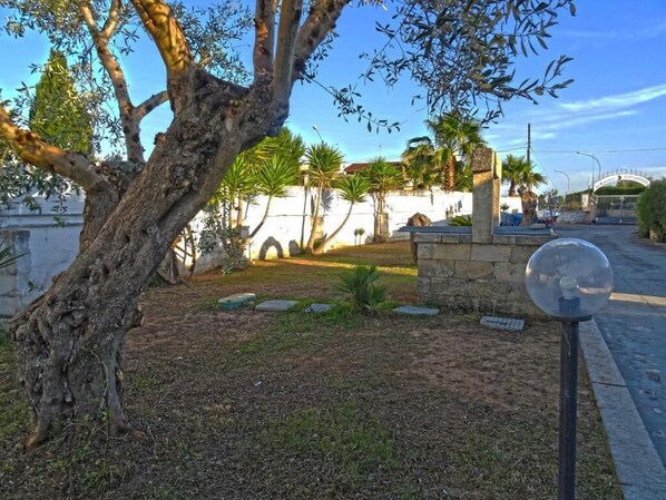 Property grounds - B&B Sant'Antonio (Gallipoli)