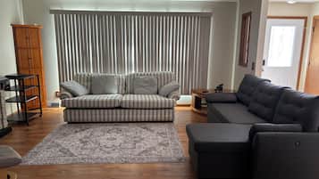 Smart TV, fireplace, DVD player, books