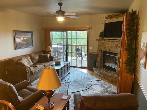 Smart TV, fireplace, DVD player, video library