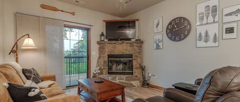 Fireplace, DVD player, video library
