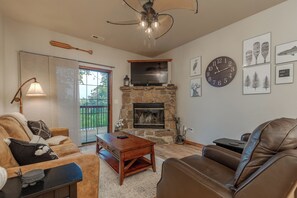 Fireplace, DVD player, video library