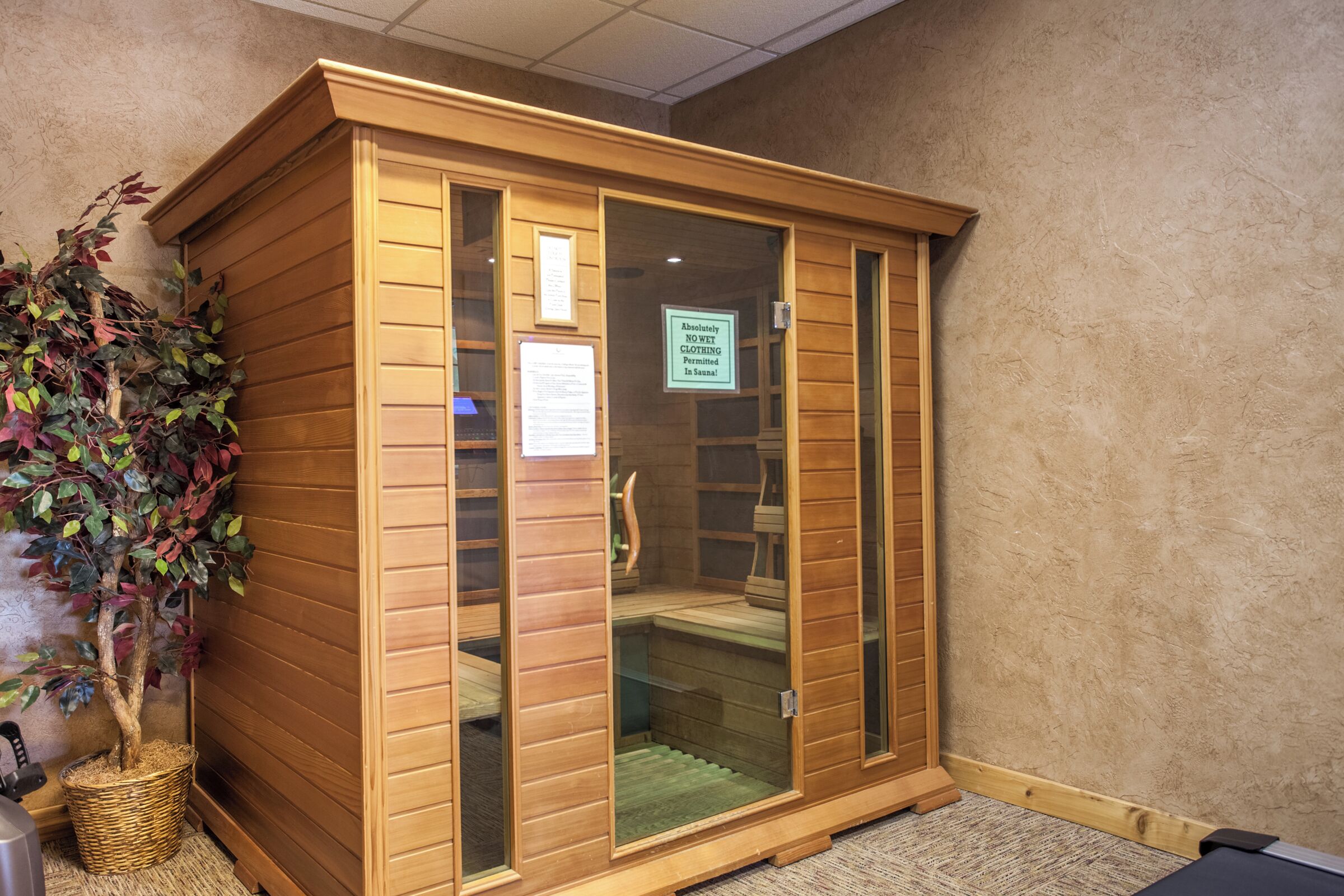 A wooden sauna with glass doors, a sign prohibiting wet feet, and a plant beside it.