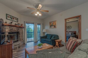 Smart TV, fireplace, DVD player, video library