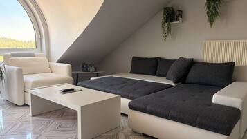 Smart TV, DVD player, video library
