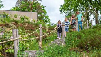 Terrein van de accommodatie