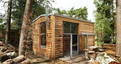 Chalet with a terrace