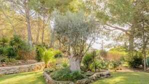 A garden with a large tree, various shrubs, and a stone border. - CASA ES PUIG (Santa Eulalia del Río)
