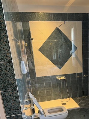 Shower, hair dryer, bidet, toilet paper