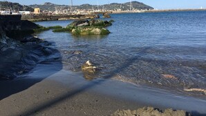 A coastal scene with clear water, rocks, and a distant cityscape.