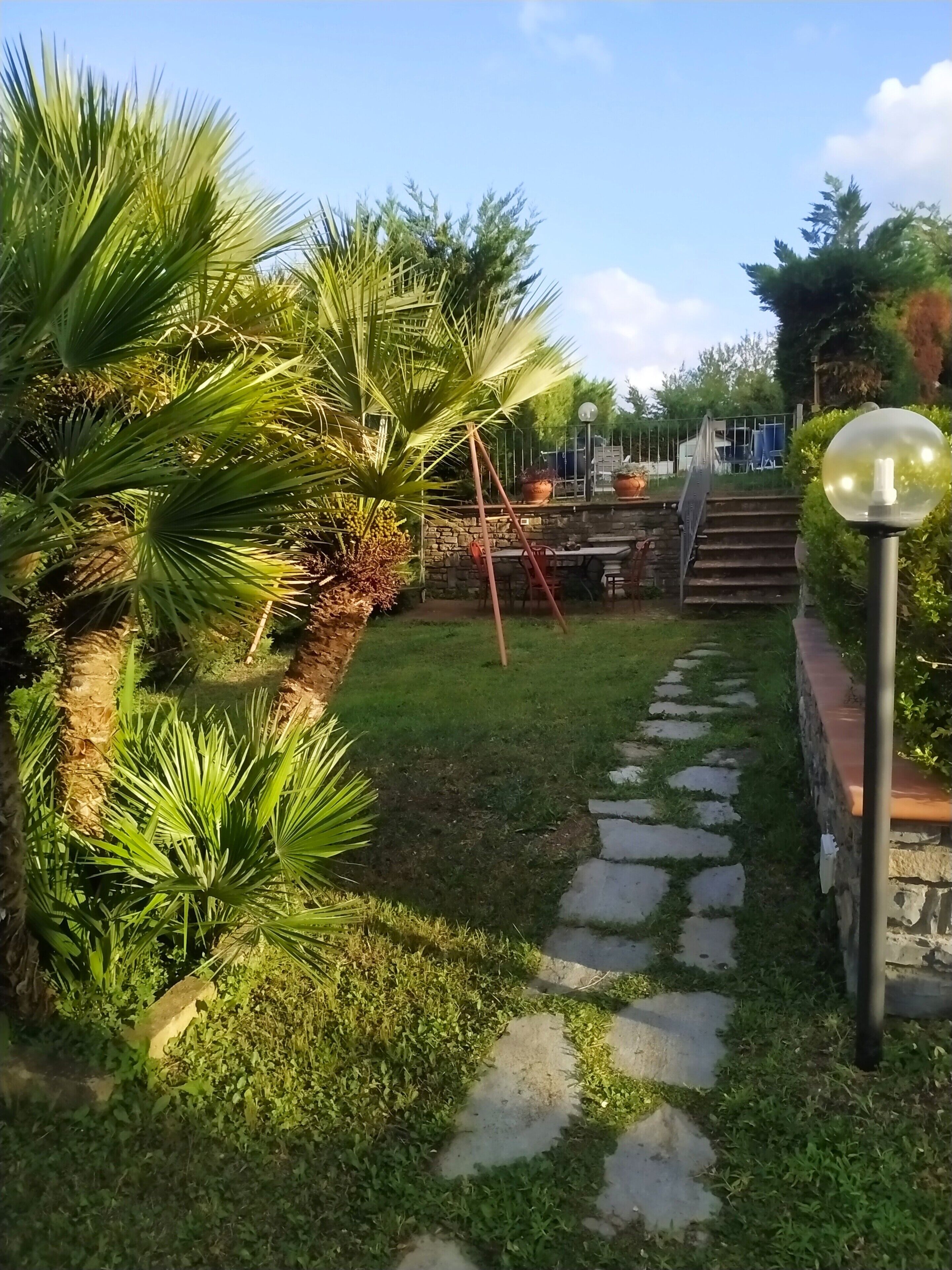 A garden pathway with palm trees, a stone wall, and a staircase leading to a deck area.