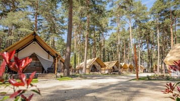 Terrein van de accommodatie