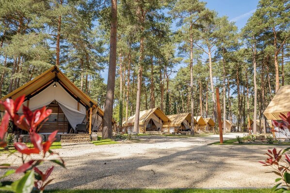 Property grounds - Glamping tent Luxury 4 (Zutendaal)