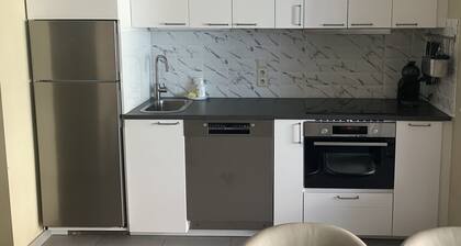 New Haven 402 T3 Ă Nieuwpoort-Bad