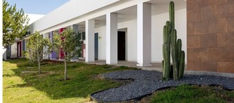 Camino de Olivos