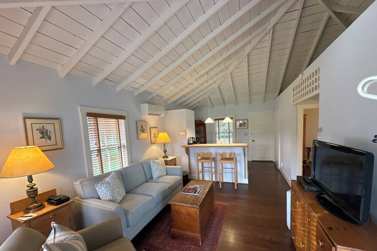 Cottage | Living area | 50-inch LCD TV with cable channels