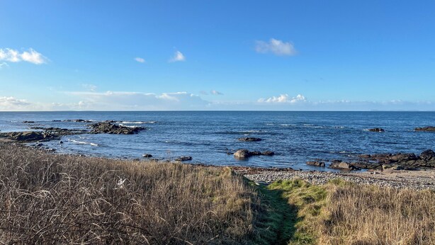 Eine Küstenlandschaft mit felsigen Ufern und blauem Himmel.