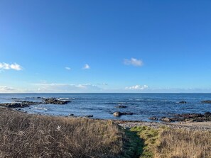 Uklassifisert bilde, 4 av 13, knapp