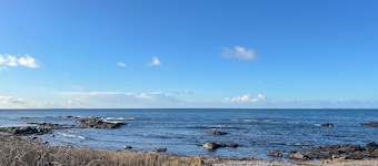 Ballygroggan Cottage - UK48768
