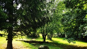 A natural outdoor area with trees and a grassy path. - Small country house 2B in the Westerwald. Family-friendly, pet-friendly and close to nature (Welschneudorf)