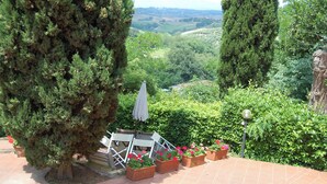 Terras