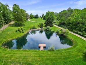 A serene pond with a wooden structure in the center, surrounded by lush greenery and a clear sky.