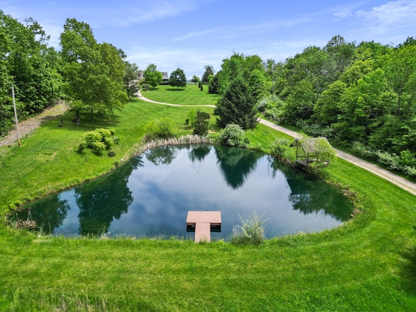 A serene pond with a wooden structure in the center, surrounded by lush greenery and a clear sky.