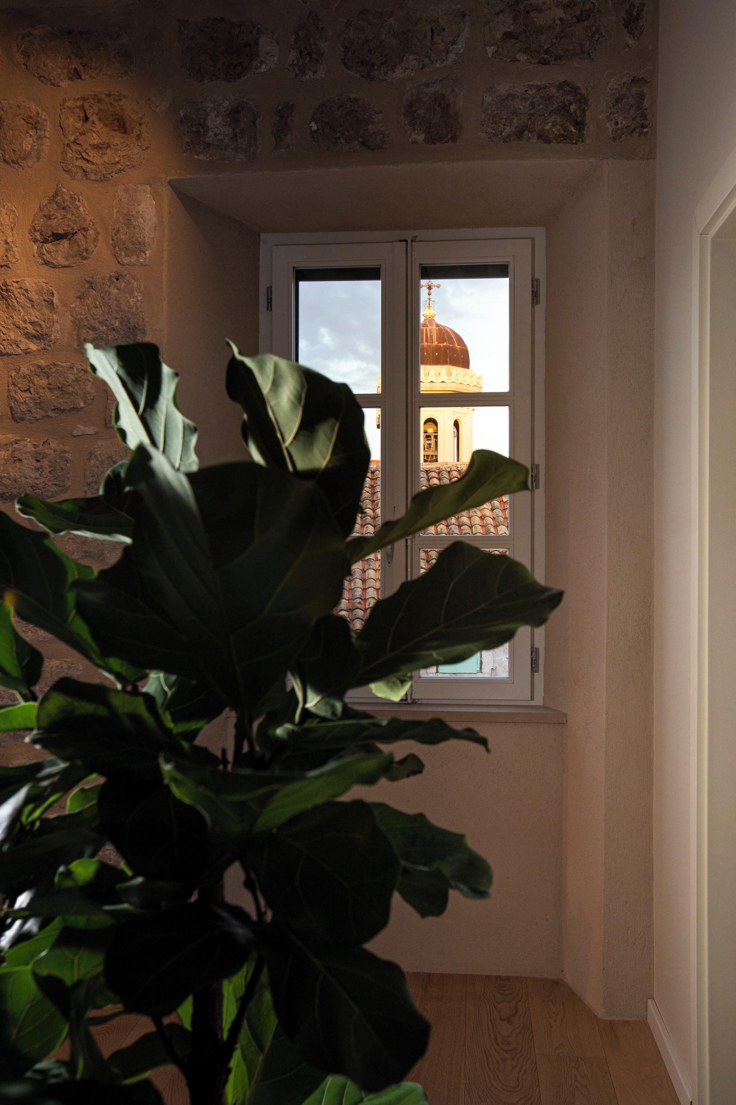 A corner room with a large plant, a window with a view of a building with a dome, and a stone wall.