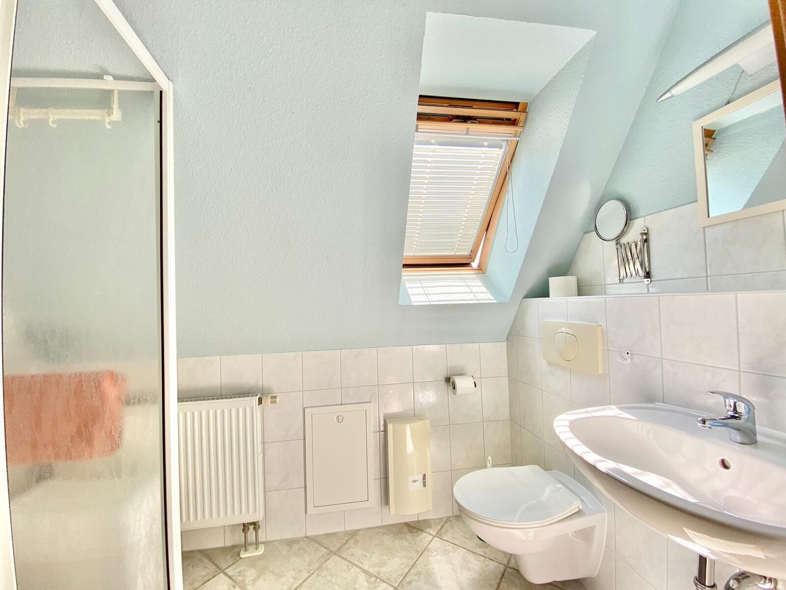 A bathroom with a skylight, a toilet, a sink, and a shower area.