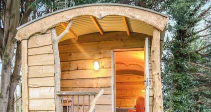 Shepherds Hut One - UK48784