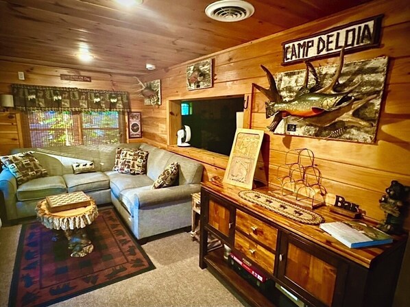 Smart TV, chimenea y libros 
