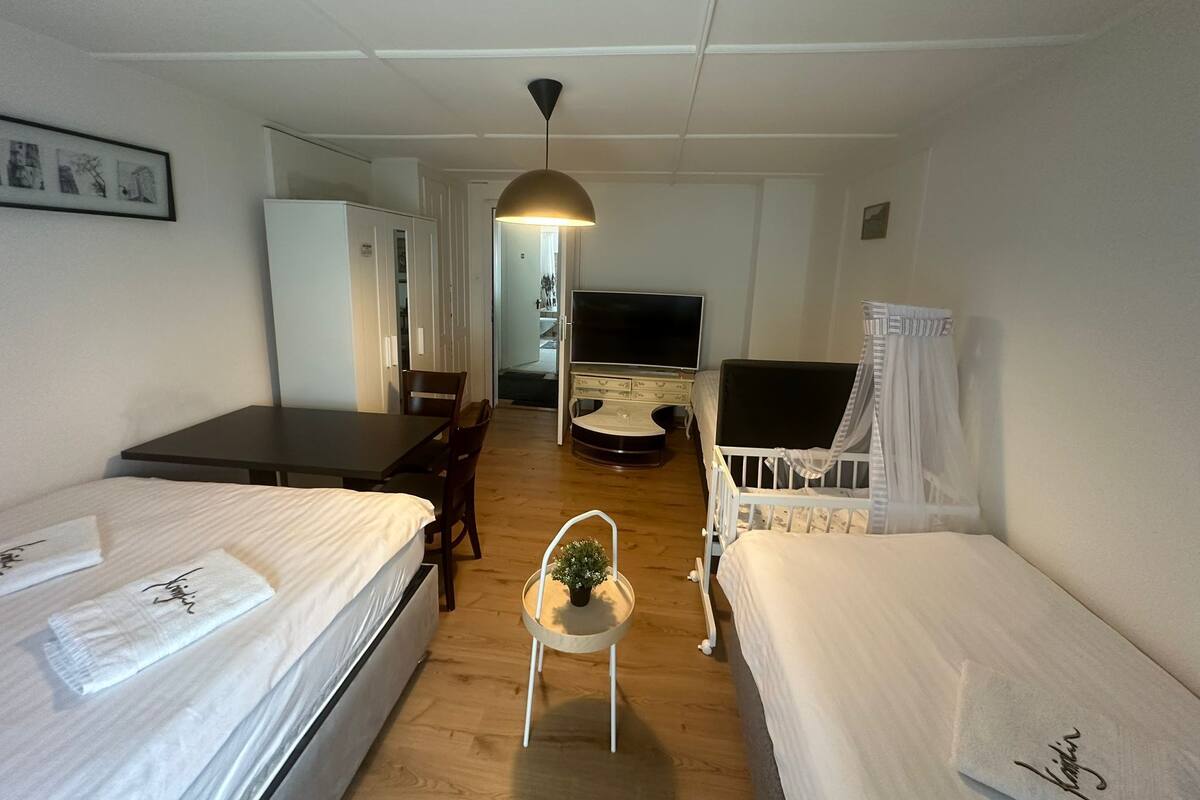 A hotel room with two beds, a dining table, a TV, and a small plant.