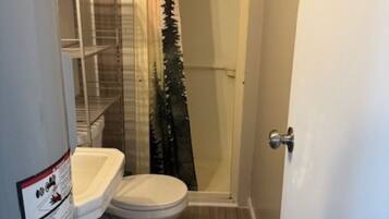 Dusche, Handtücher, Seife, Toilettenpapier