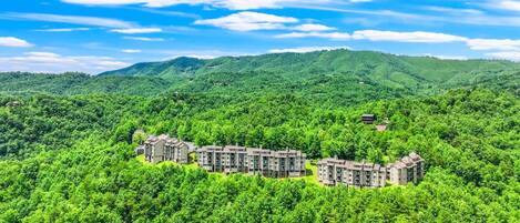 Un hotel de varios pisos rodeado de un bosque verde y frondoso, con un cielo azul despejado.