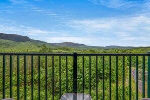 Apartment | 2 bedrooms - Indoor Pool Hot Tub Sauna Sleeps 6 Full Kitchen (Gatlinburg)