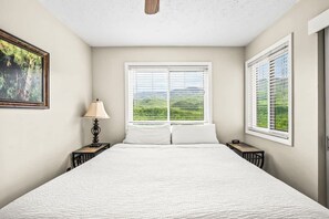 House - Sauna Mountain Views Indoor Pool Sleeps 4 (Gatlinburg)
